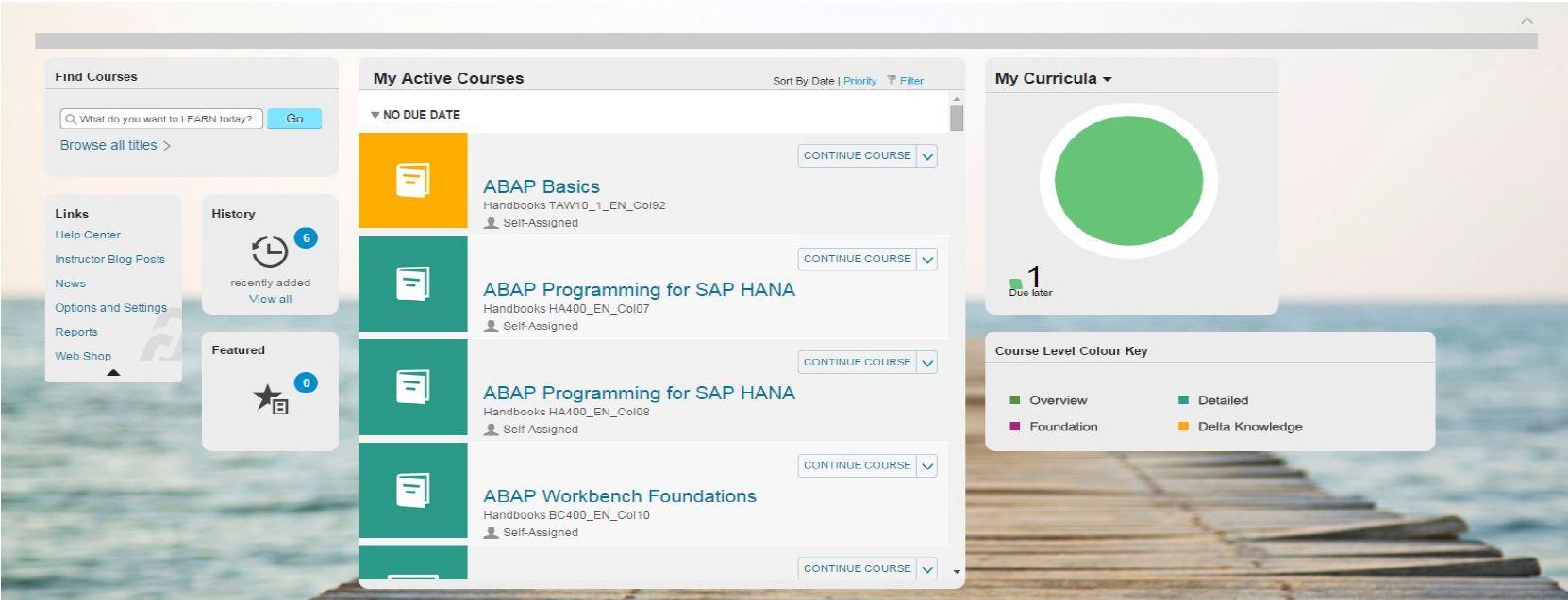 SAP Learning Hub