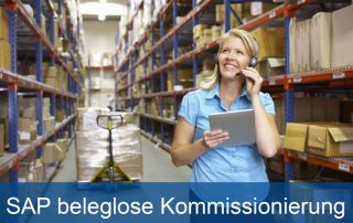 SAP beleglose Kommissionoierung