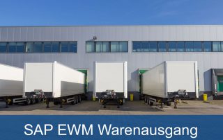 SAP EWM Warenausgang