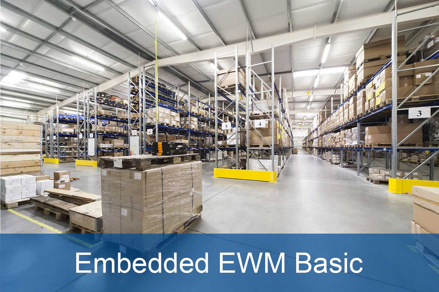 sap s4hana embedded ewm basic serkem vorschau