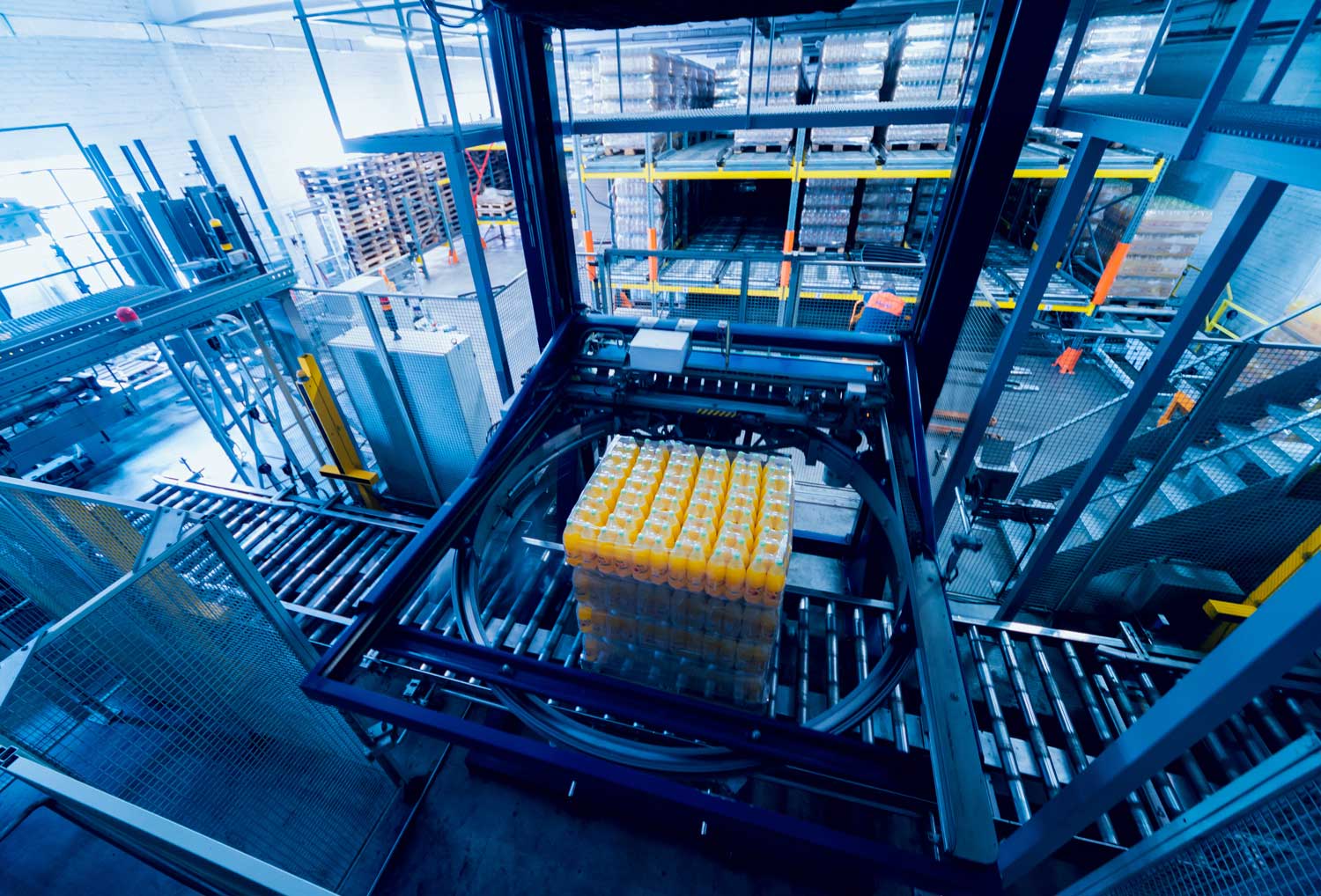 SAP Warehouse Management Software