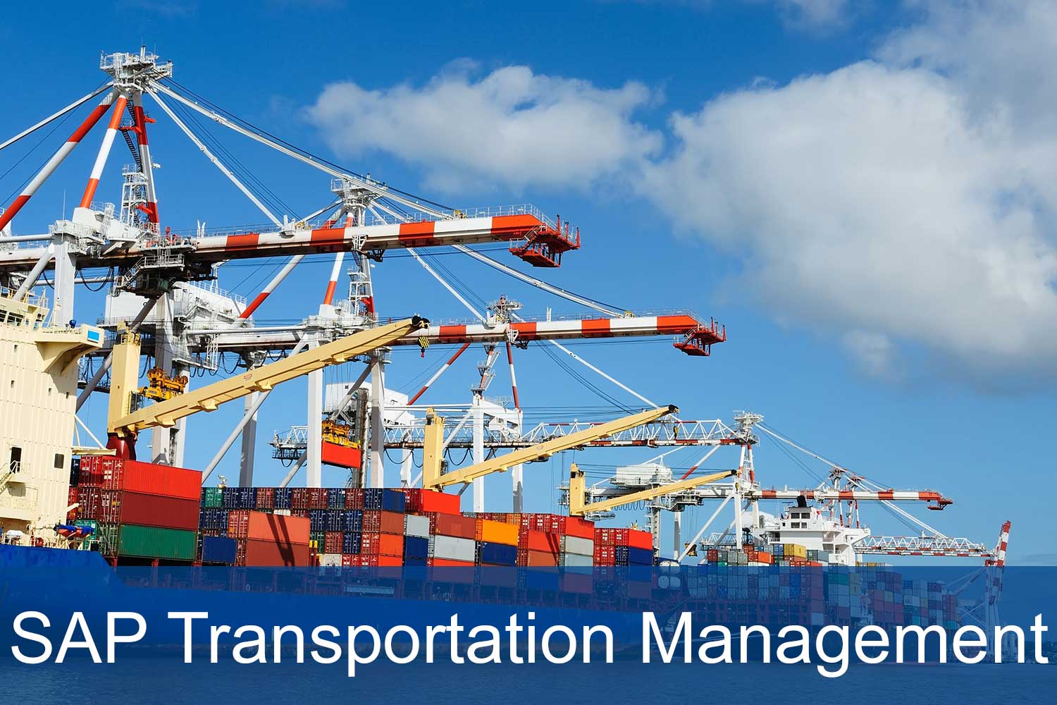 SAP Transportation Management