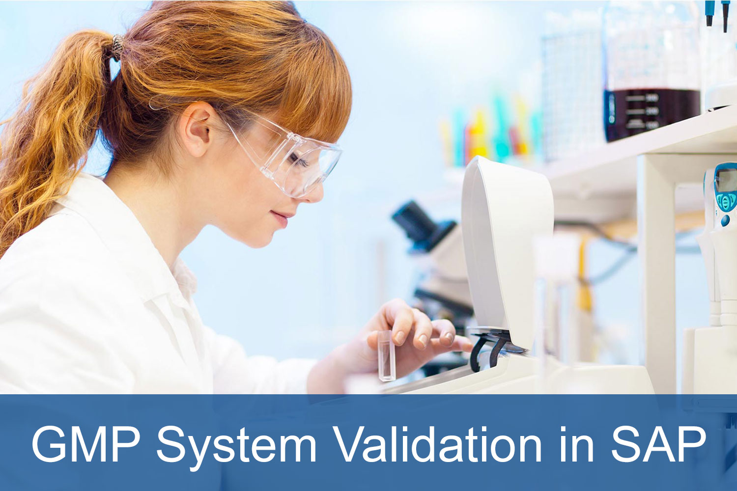 GMP System Validation in SAP