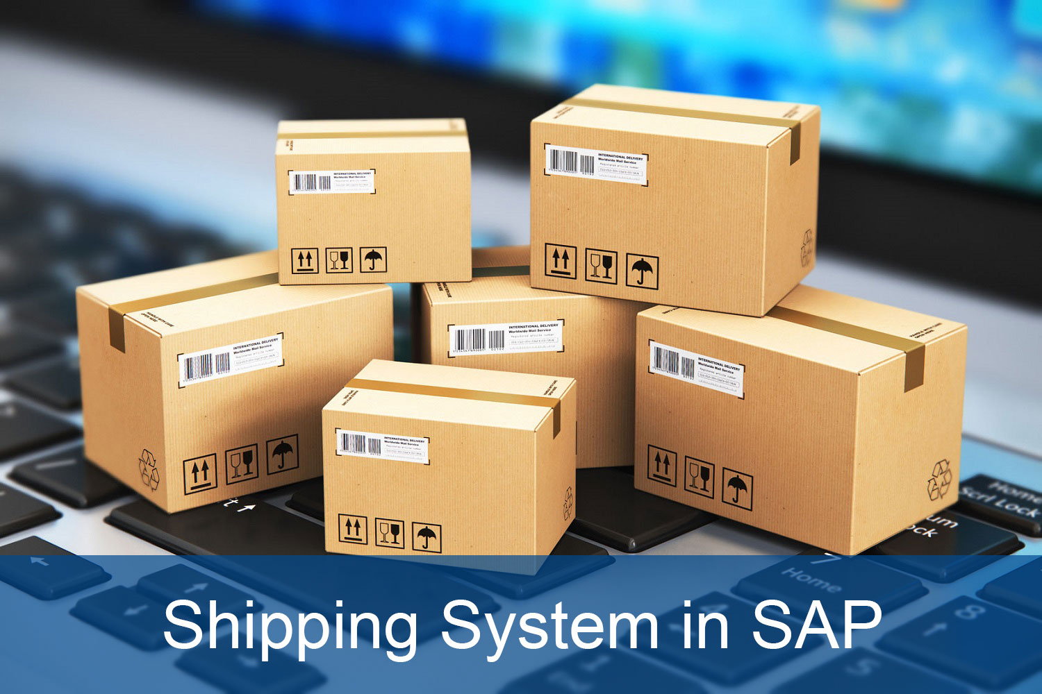 Shipping system in SAP