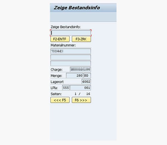 Success Story Segezha Screenshot Bestandsinformation Deutsch