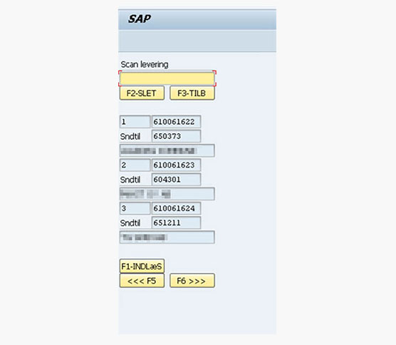 Success Story Segezha Screenshot Kommissionierung Dänisch