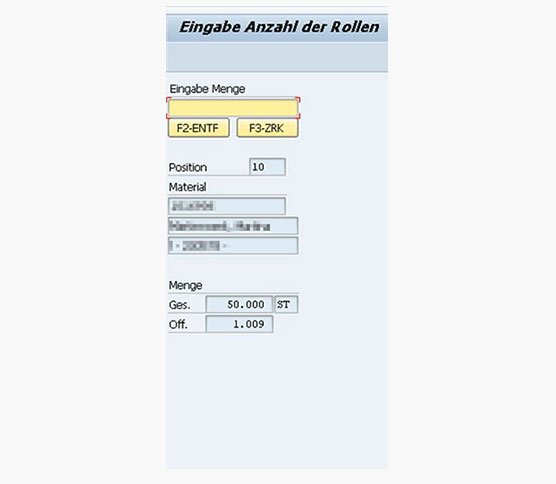 Success Story Segezha Screenshot Wareneingang Deutsch