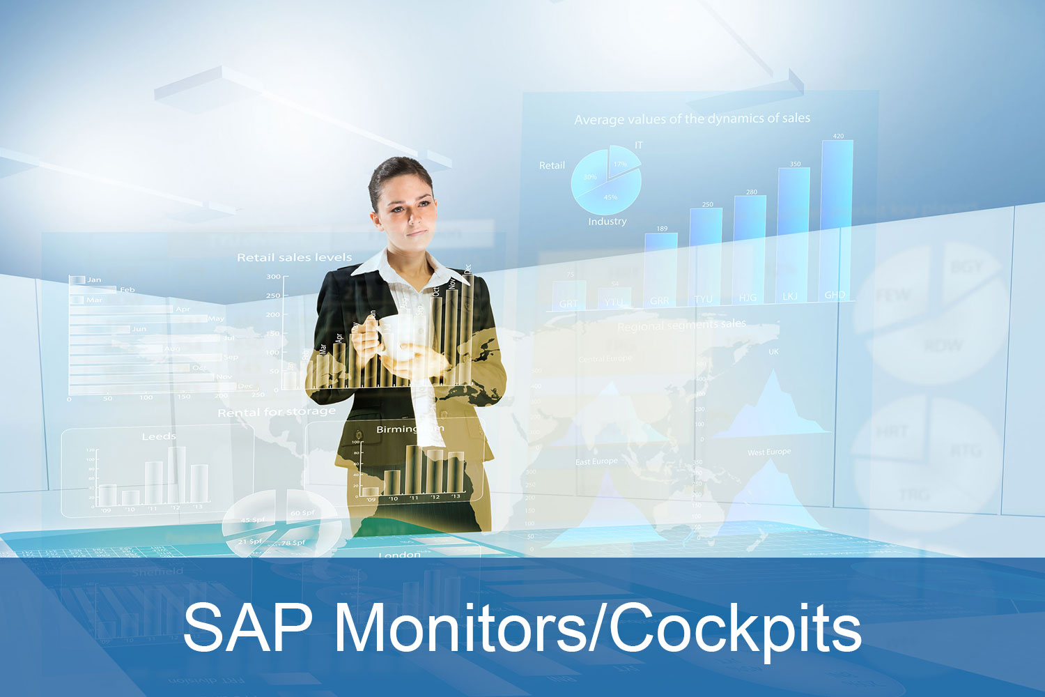 SAP monitors from SERKEM