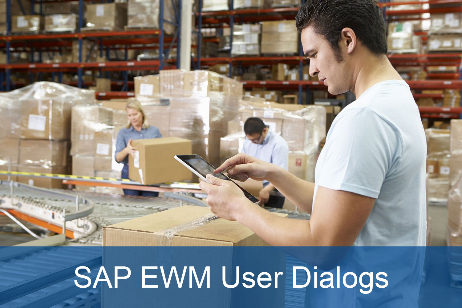 SAP EWM User Dialogs